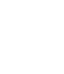 WE horse icon