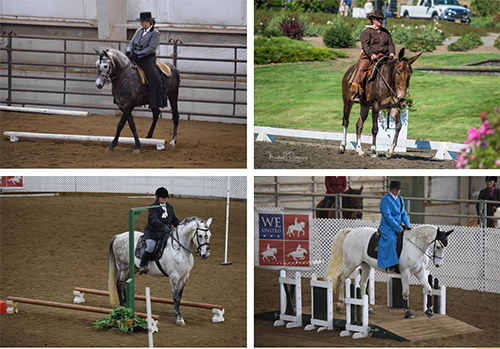Different styles of tack in the same show