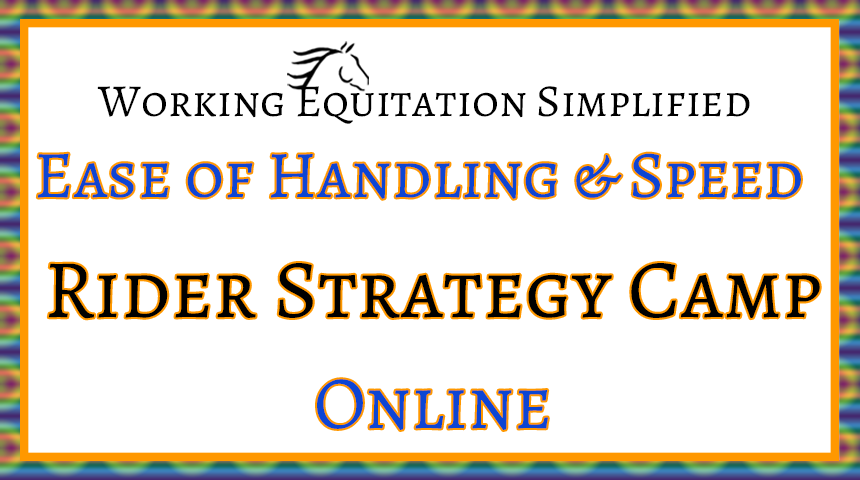 NZ Course Card Rider Strategy