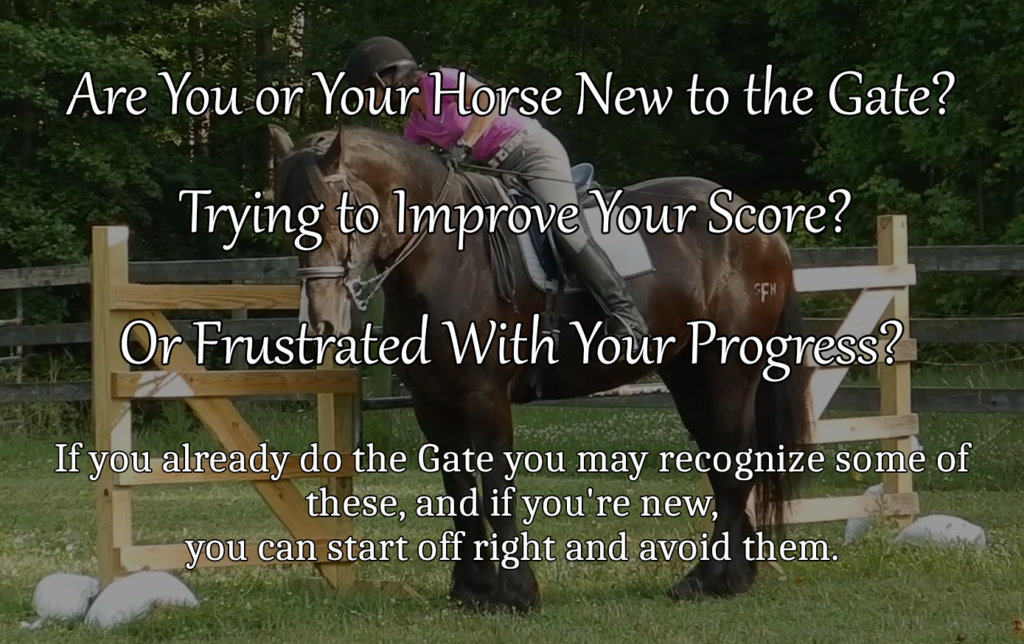 Are you or your horse new to the Gate? Trying to improve your score? Or frustrated with your progress? If you already do the Gate you may recognize some of the following. If you're new to the Gate, you'll be able to start off right and avoid them.